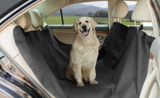 Housse de protection auto pour chien sièges arrière NORAUTO - Auto5